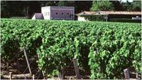 Ch�teau Siran Grand Cru Class� Margaux